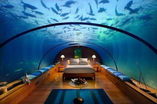 bed under the sea.webp