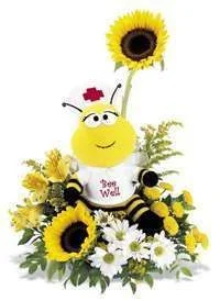 beewell.webp