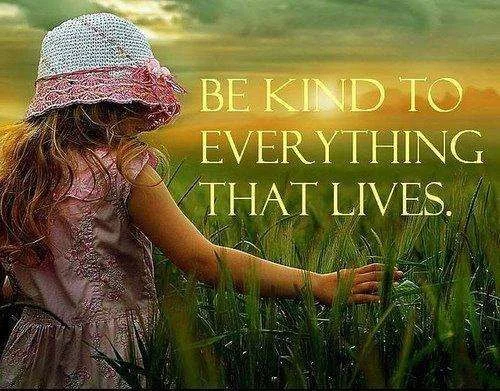 bekind.webp