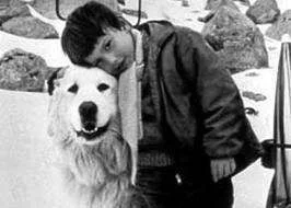 Belle and Sebastion.webp