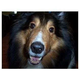 Ben.webp