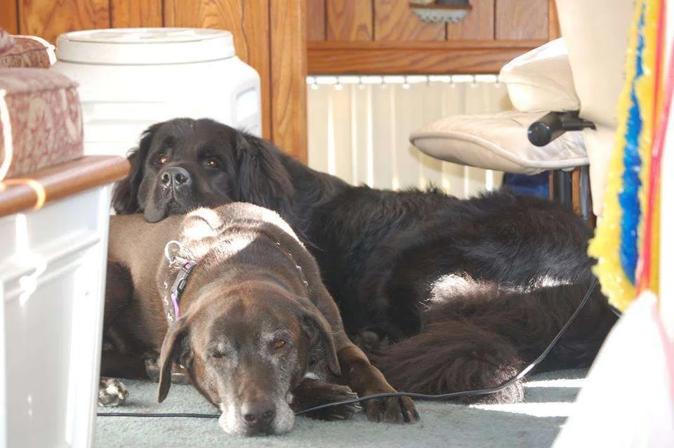 best friends.webp