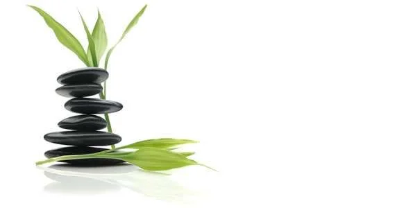 Best-Of-Both-Health-Worlds-Part-II.webp