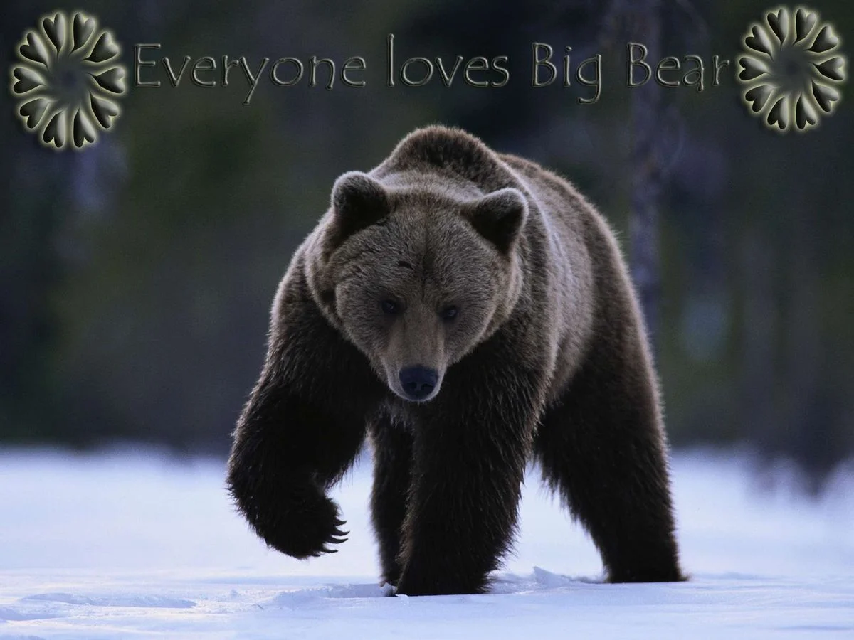 big bear.webp