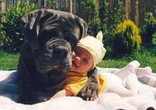 BIG Hugs.webp