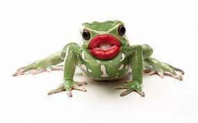 big lips.webp