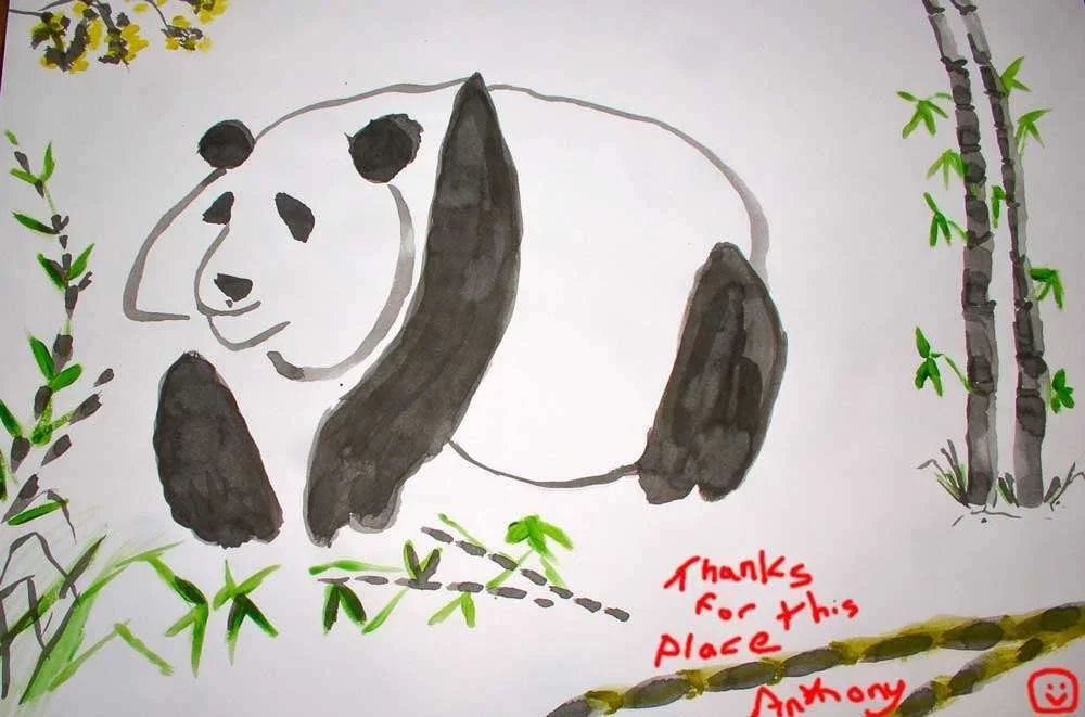 big-panda2.webp