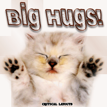 big_hugs_cat_cc-b0fba7971beec35c71ea28ef5794cdf5.gif