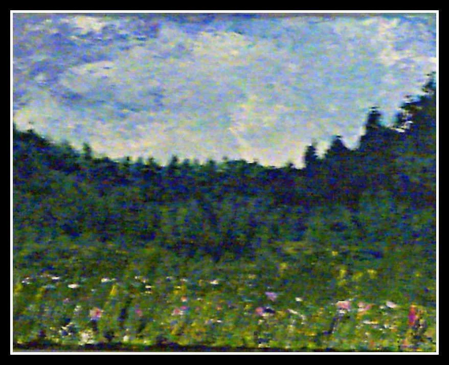 Bills and Sheilas Flower Field.webp