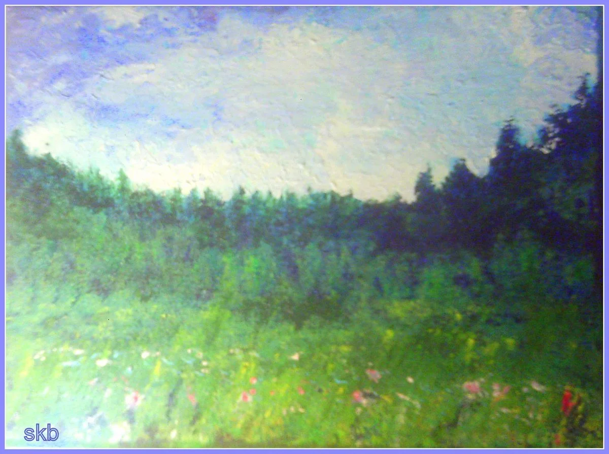Bills n Sheilas Flower Field.webp