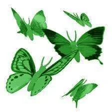 BipolarGreenButter.webp