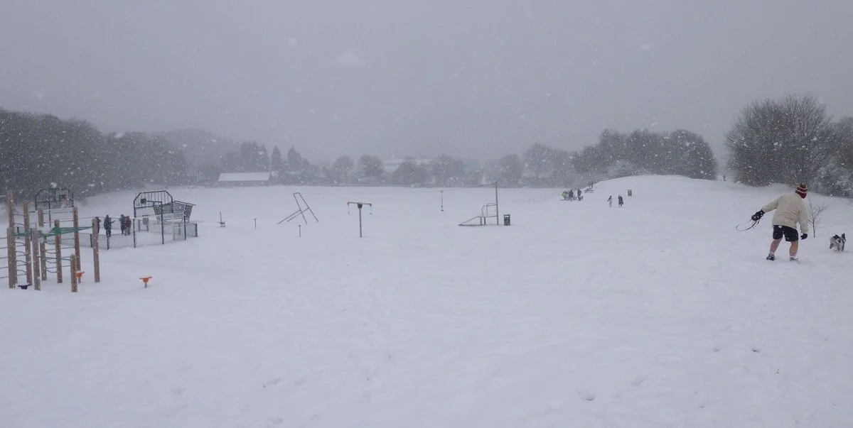 Birchmeadow snow cropped.webp