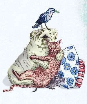 bird-dog-cat-hug_300.webp