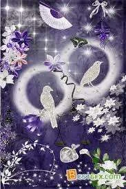 Birds.webp