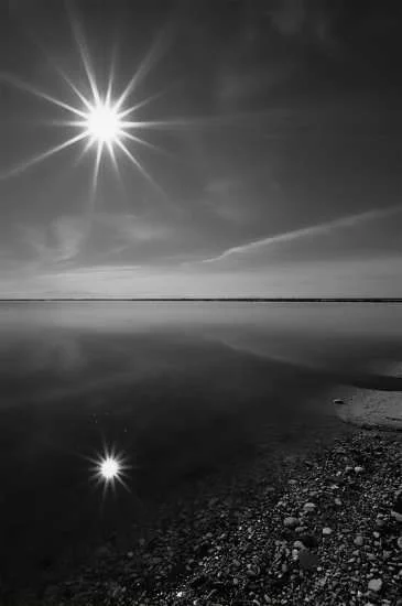 black and white.webp