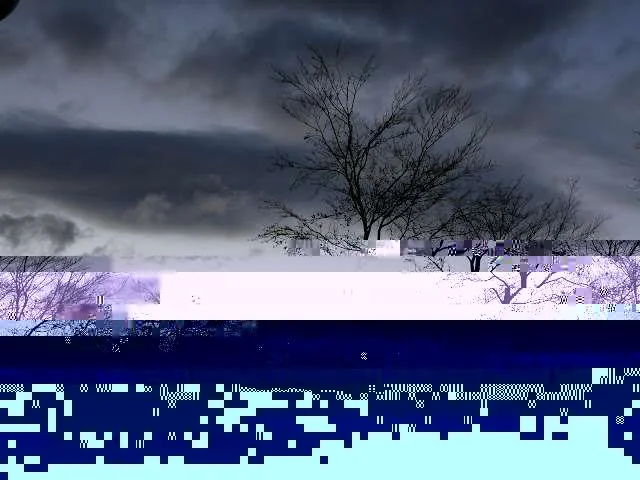 blackforest2.webp