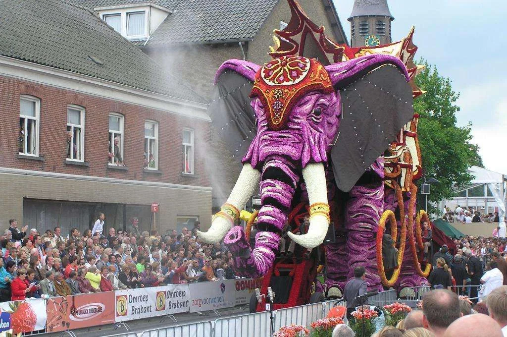 bloemencorso-zundert.webp