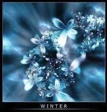 Bloom.webp