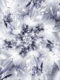 Bloom_2.webp