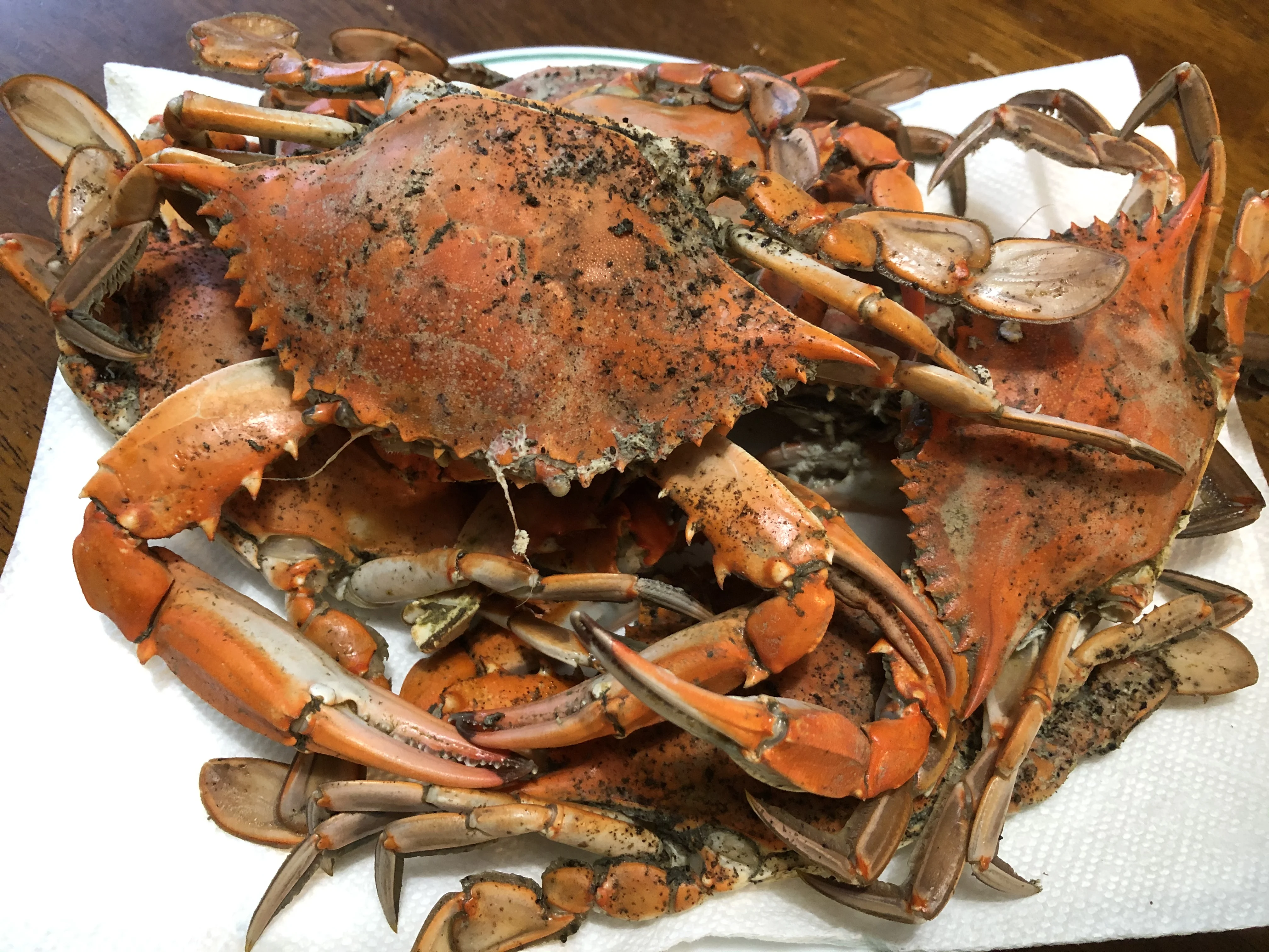 Blue Crabs.webp