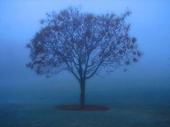 blue-mood.webp