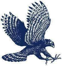 bluehawk.webp