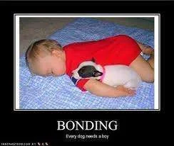 bonding.webp