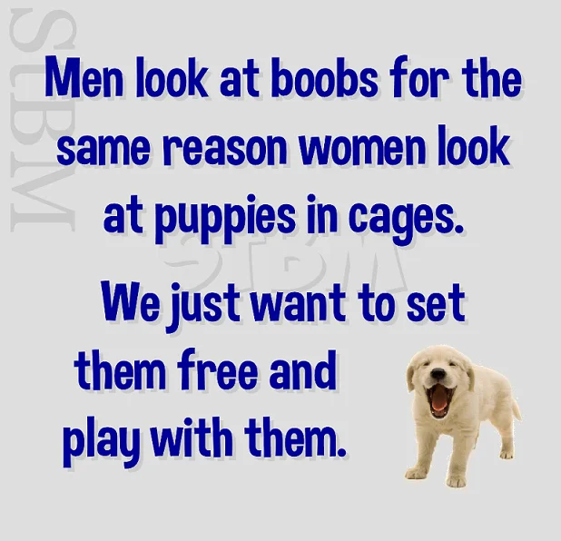boobs.webp