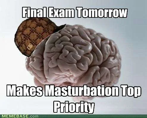 brain-just-cram-in-the-morning.webp