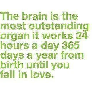 Brain.webp