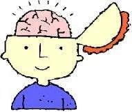 brain.webp