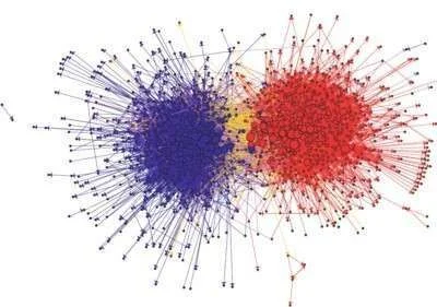 brains-color.webp