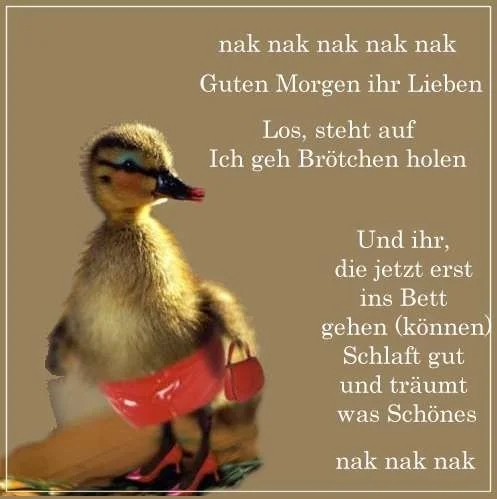 broetchen.webp