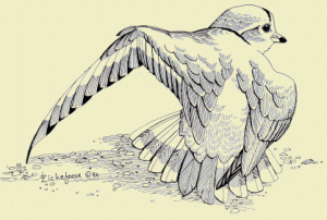 brokenwing.gif
