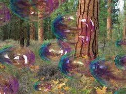bubbles.webp