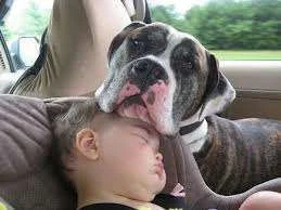 buddies.webp