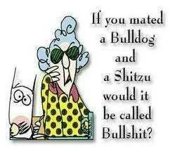 Bulldog.webp