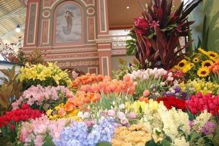 bunch-of-flowers.webp