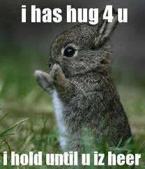 bunny hug_1.webp