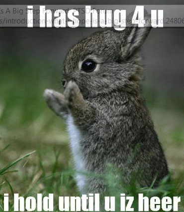 bunny says I has a hug for you.webp