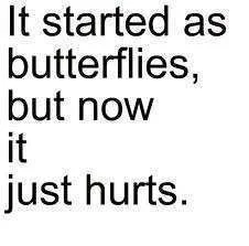 butterflies.webp