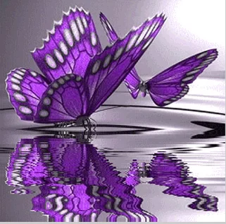 butterfly 4.webp