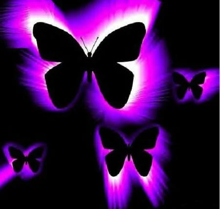 butterfly 5.webp