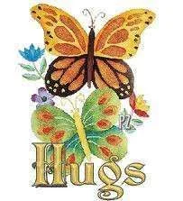 Butterfly hugs.webp