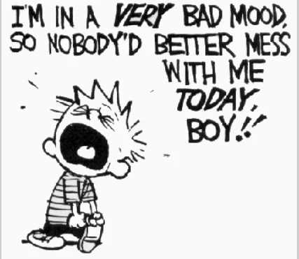 calvin in a bad mood.webp