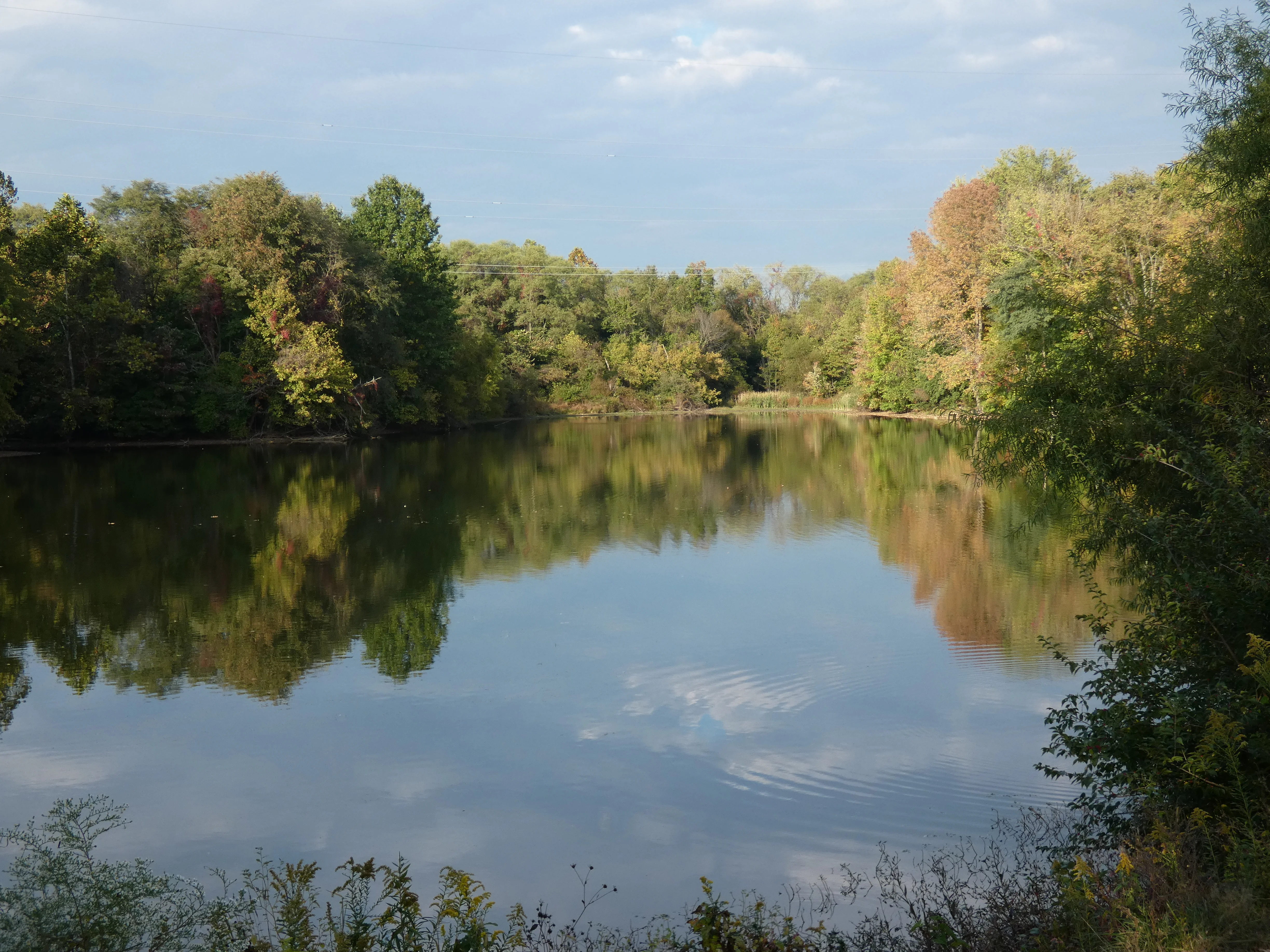 Camp Ernst Lake_2.webp