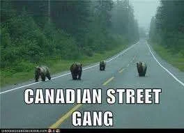 Canadian street gang.webp