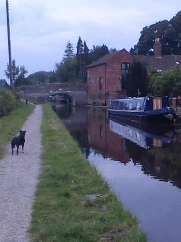 Canal view 2.webp
