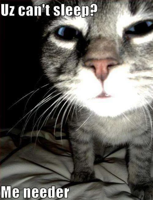 cant sleep.webp