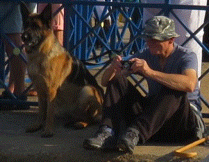 carnivaldog.gif